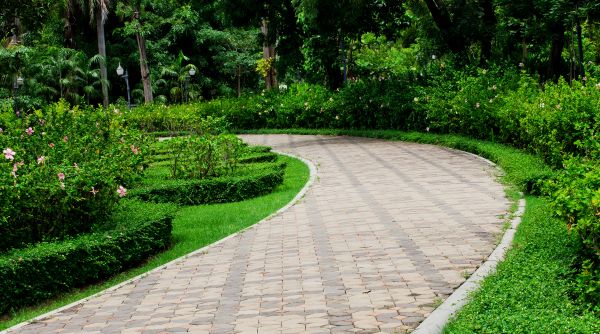 Paver Walkway Repair in Greenville