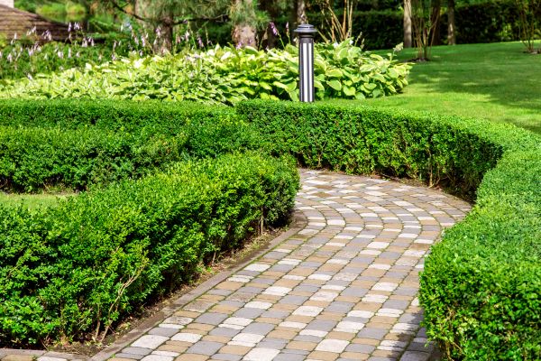 Paved Landscaping in Greenville