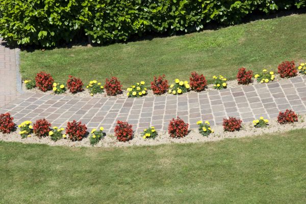 Garden Paving in Greenville