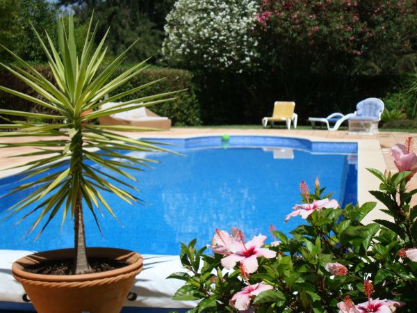 Pool Terrace Renovation in Greenville