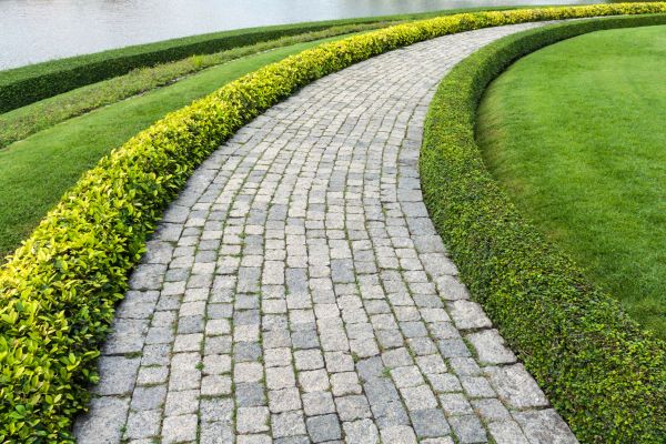Sidewalk Pavers Installation in Greenville