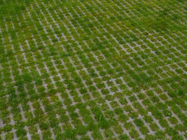 Permeable Pavement Service in Greenville